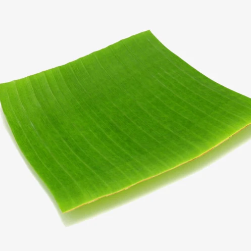 paper banana leaf near me