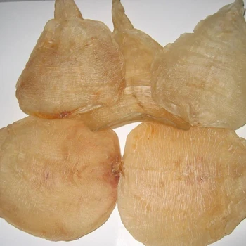 wholesale fish maw/swim bladder from vietnam at competitive