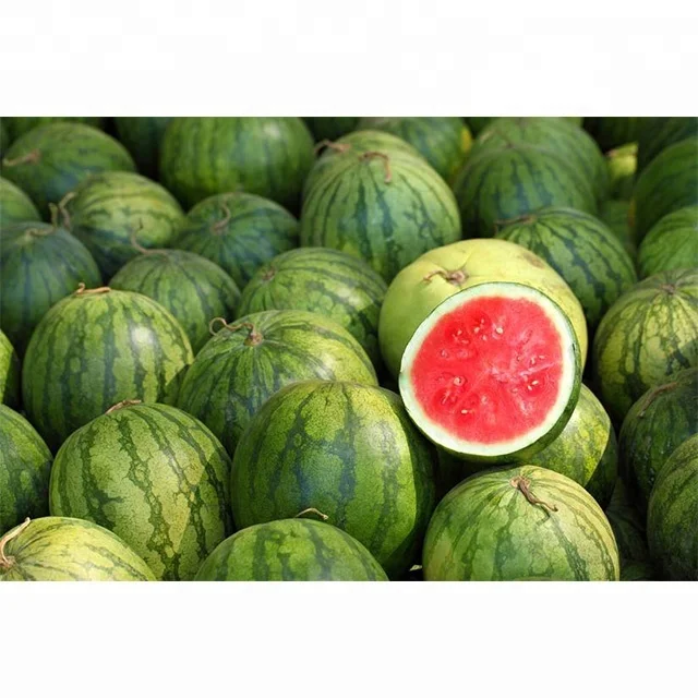 buy watermelon seeds sale,square watermelon,wholesale water