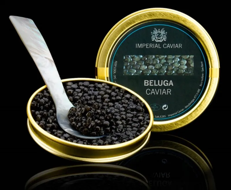 beluga caviar (sturgeon caviar) rarest caviar in the world