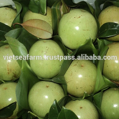 サプライスターアップルベトナム 高品質 最高の価格 Buy 新鮮なスターリンゴ果実 スターリンゴ果実 Product On Alibaba Com