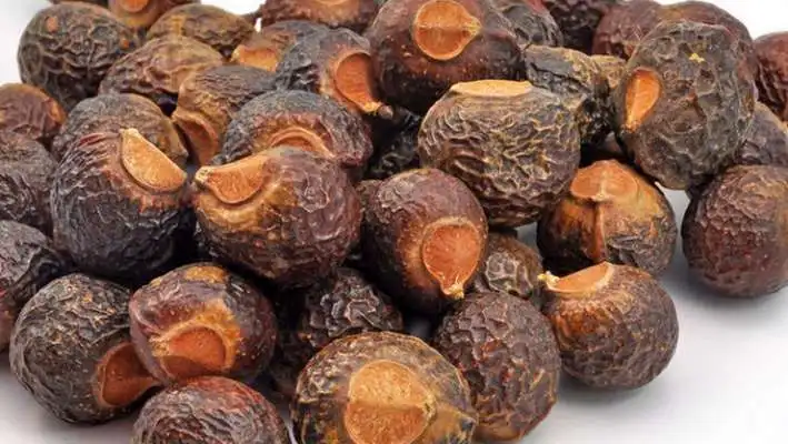 VIETNAM SOAPNUT SOAPBERRY