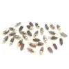 Brown Moonstone