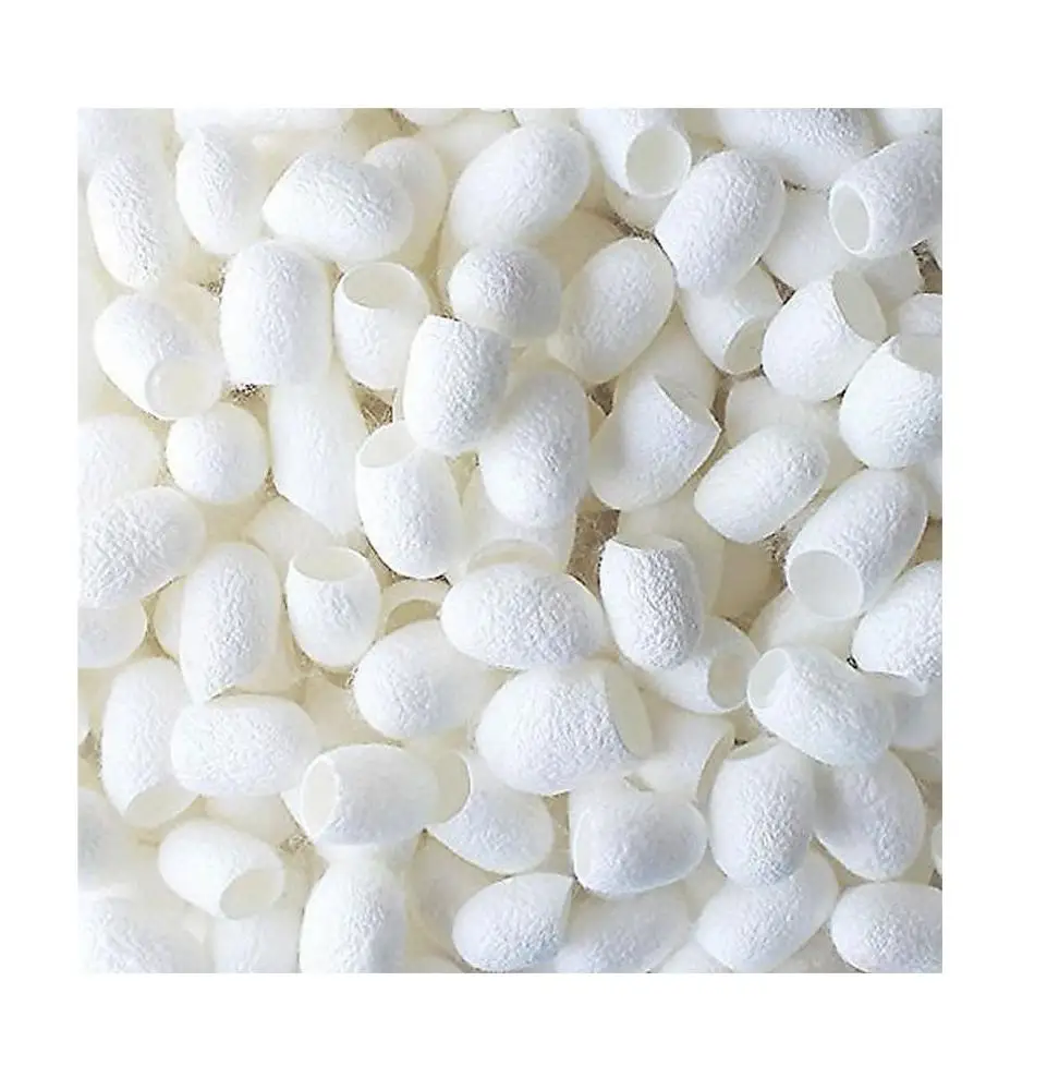 skin care silkworm cocoon cut silk cocoon// rachel:  84896436456