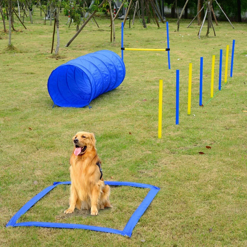 Outdoor Training макет