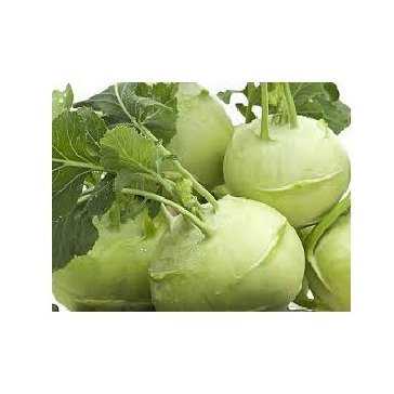 Оптовая продажа Вьетнам Сушеный органический KOHLRABI новейший урожай высокое качество и низкая цена