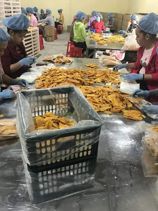 Vietnam Dry Soft Mango Slices/ Dried Tropical Fruit no Chemical/ Dehydrated Mango Fruit Cheap Price/ +84 347172301