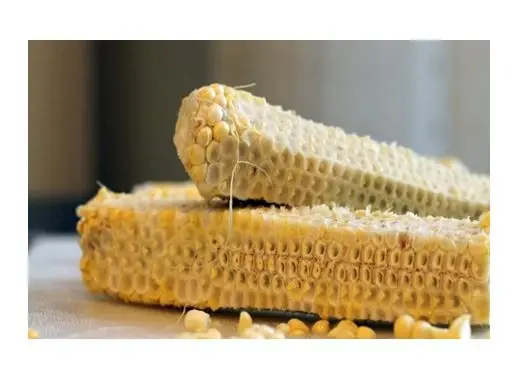 SUPPLIER HIGH-QUALITY CRUSHED CORN COB FROM VIETNAM