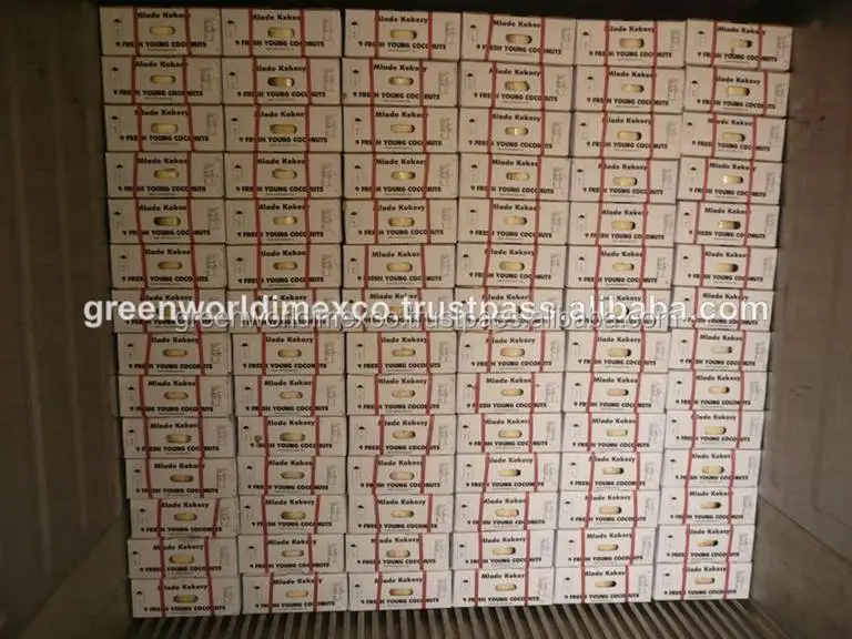 
Самая низкая цена на зеленый кокос из Вьетнама! Лидер продаж 