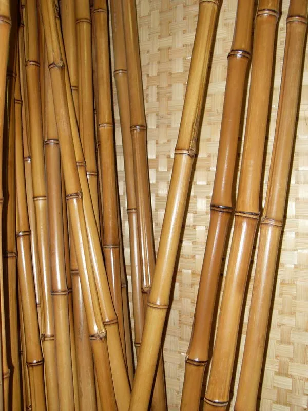 Wholesale For Cheap Natural Dry Raw Bamboo Poles/sticks/canes Buy