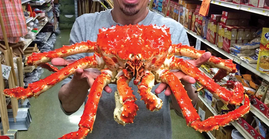 Alstublieft Stereotype Oordeel Live Red King Crabs /frozen King Crab - Buy Alaskan King Crab,Frozen King  Crab,Whole King Crab Product on Alibaba.com