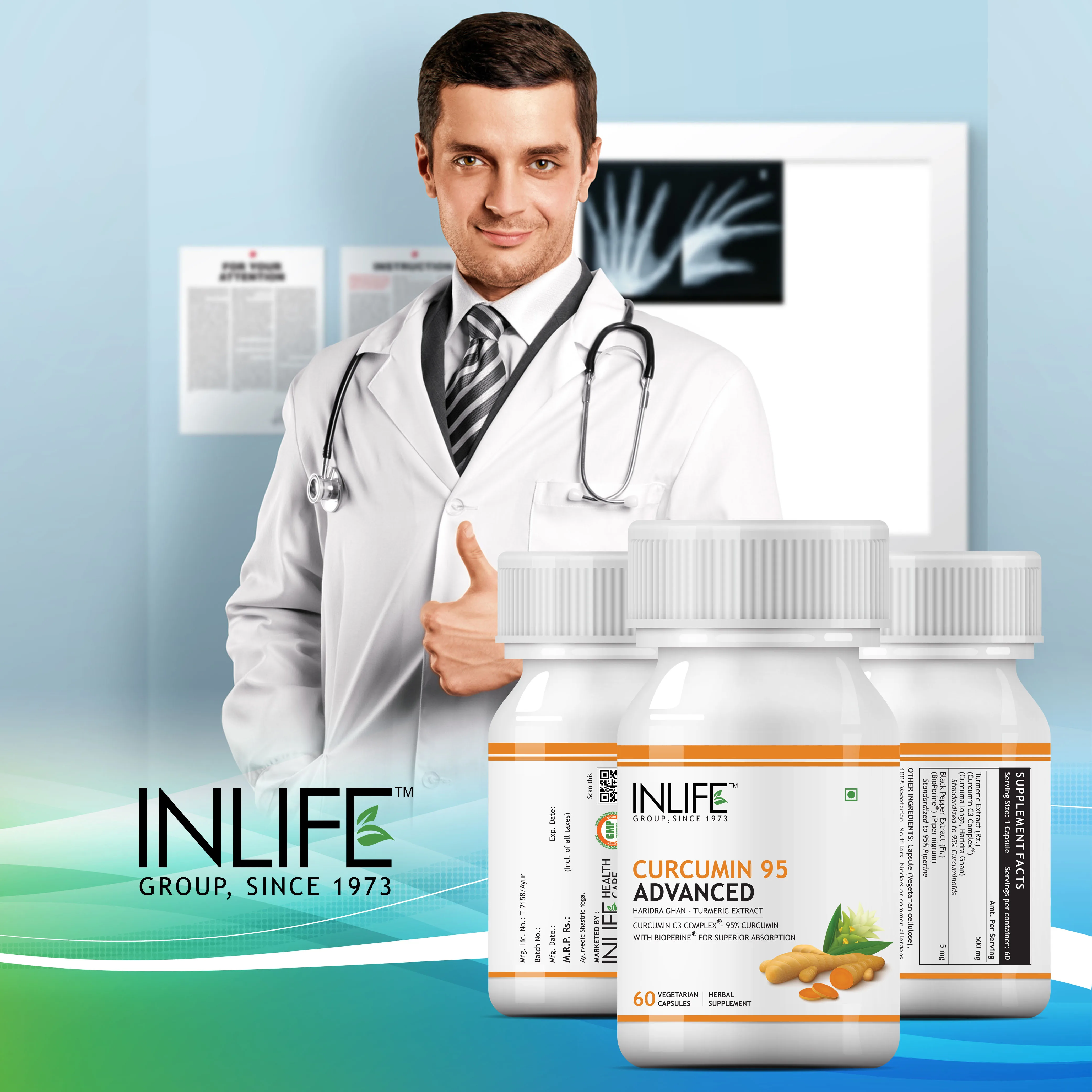 
INLIFE Curcumin C3 Complex 95% Bioperine Herbal Supplement - 60 Vegetarian Capsules, GMP Certified Facility 