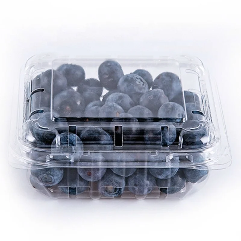 Disposable Small Plastic 125G Fruit Clamshell Packaging Container For  Blueberries Manufacturers