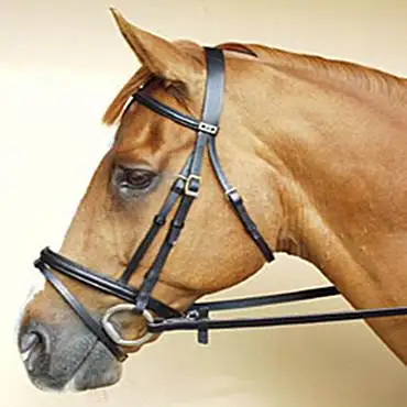 top quality horse bridle made of genuine leather - buy leaher