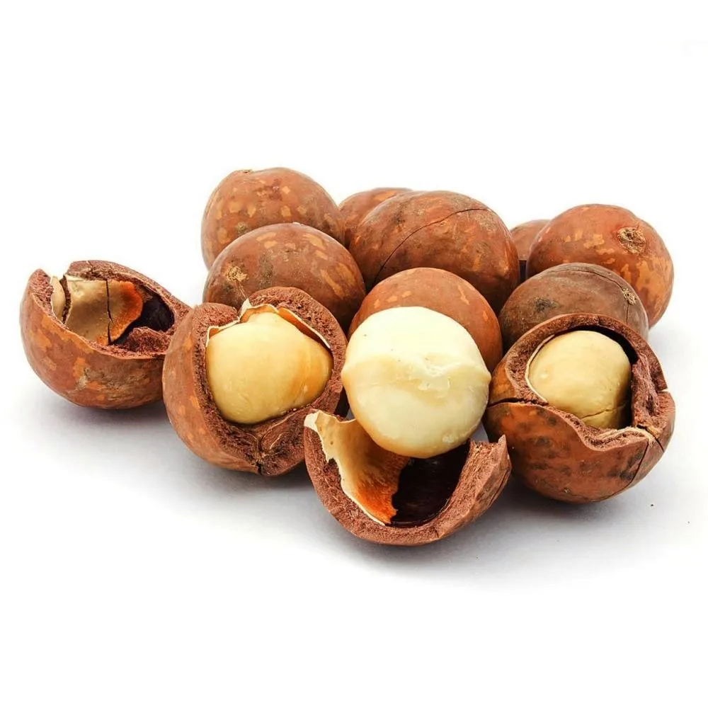 Круглый орех макадамия фото с прорезью