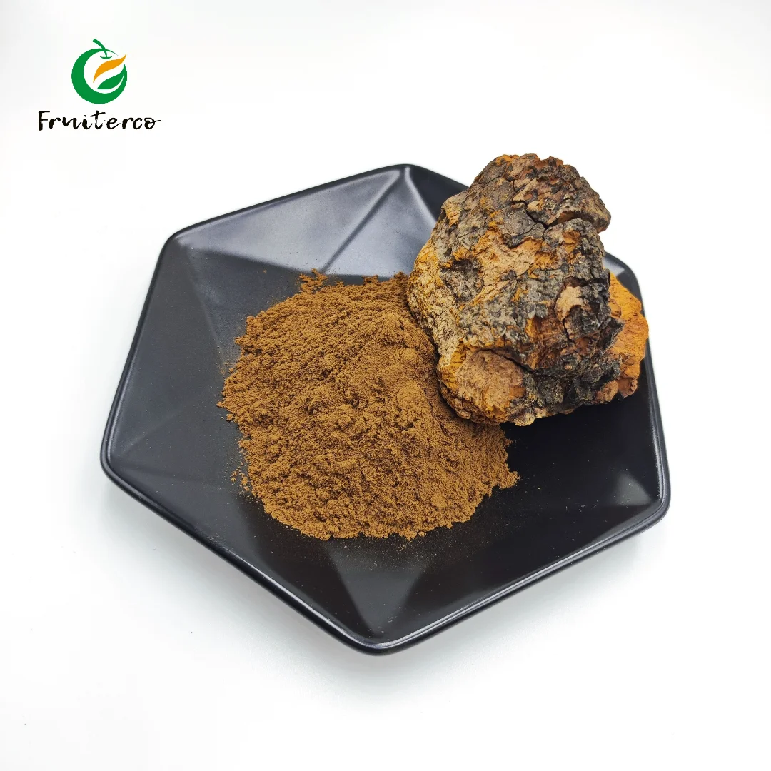 iso certified manufacturer natural chaga mushroom powder - buy