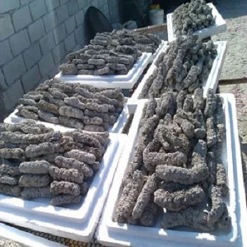 Dried Sea Cucumbers are Presented at Binh Tay Market in Ho Chi Minh City,  Vietnam Stock Image - Image of dried, east: 144890803