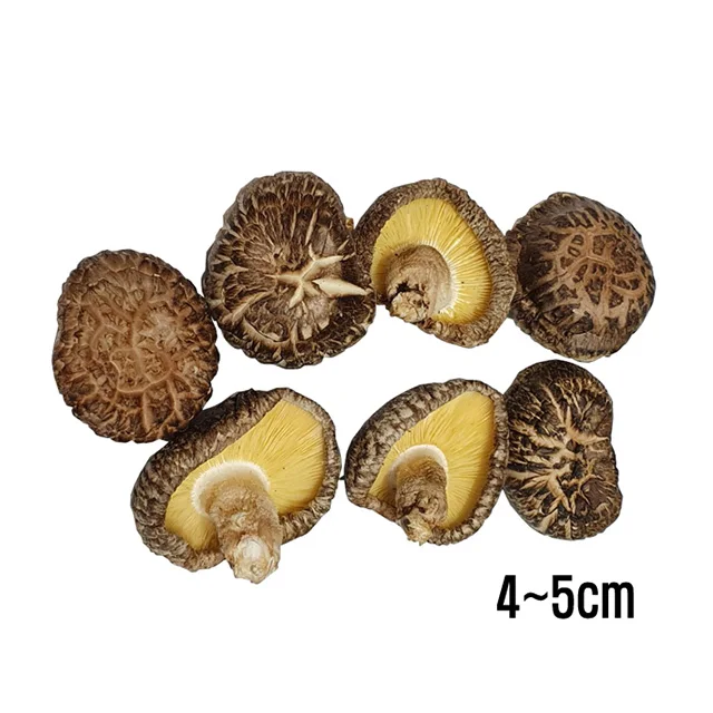 
 Оптовая продажа, высушенный гриб экстракт, черный цветок Dongko  