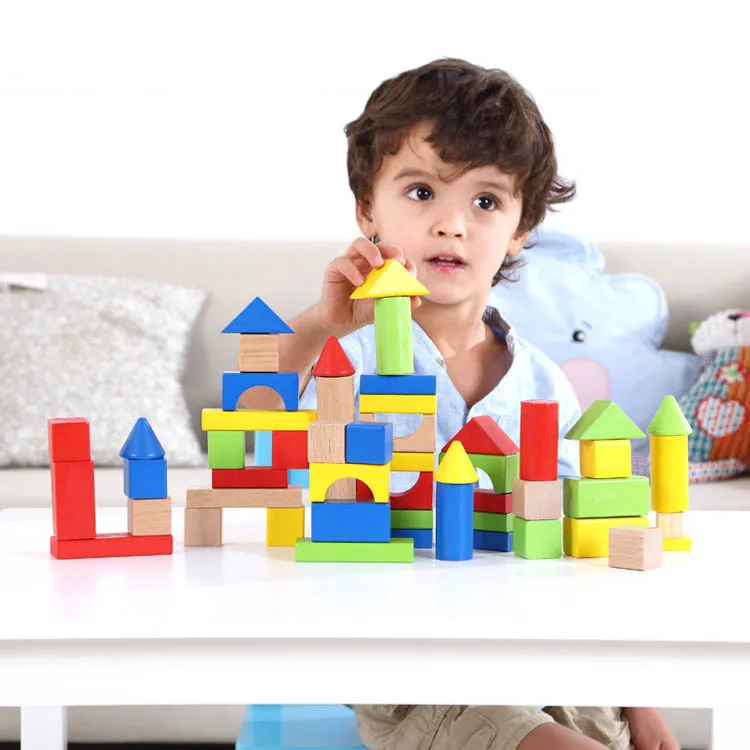 TOOKY TOY Classical  Educational Wooden Building Block Set 50PCS for Toddles