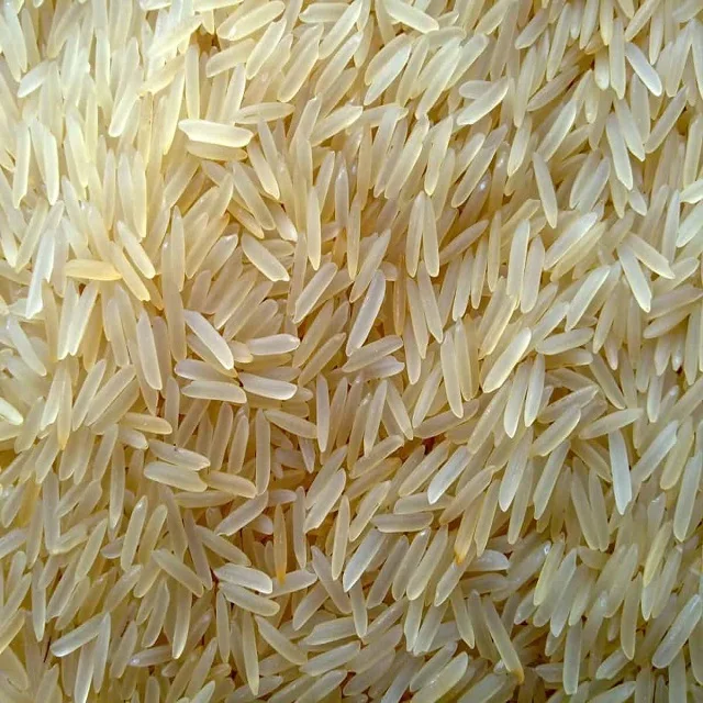 1121 Golden Sella Parboiled Basmati Rice Buy Parboiled Sella Rice Pari Basmati Rice Bulk Basmati Rice Product On Alibaba Com