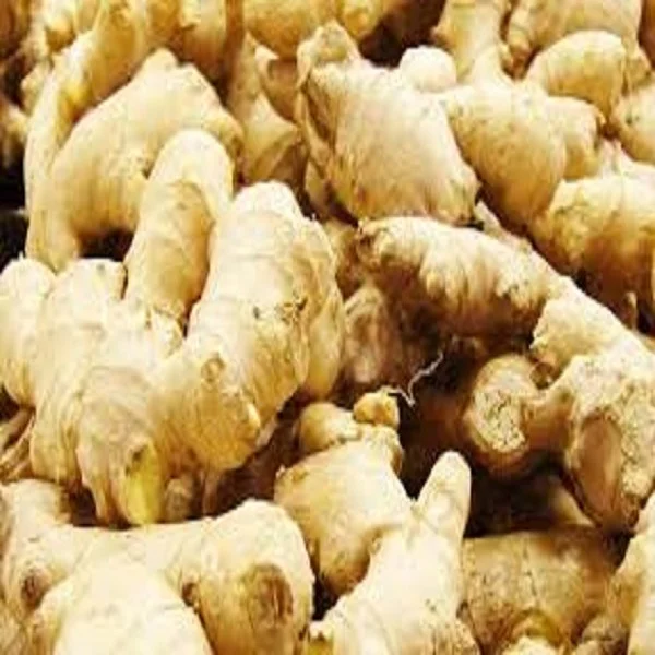 Fresh Ginger In China With Ginger Price Per Kg Buy Fresh Ginger,Spicy