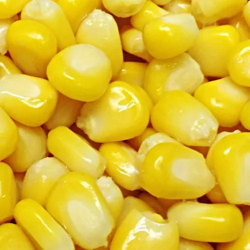 Organic Kernel Sweet Corn Frozen Natural Kernel Corn Ms Nancy 84 896 626 401 Buy Organic Kernel Corn Natural Kernel Sweet Corn Frozen Natural Kernel Corn Product On Alibaba Com