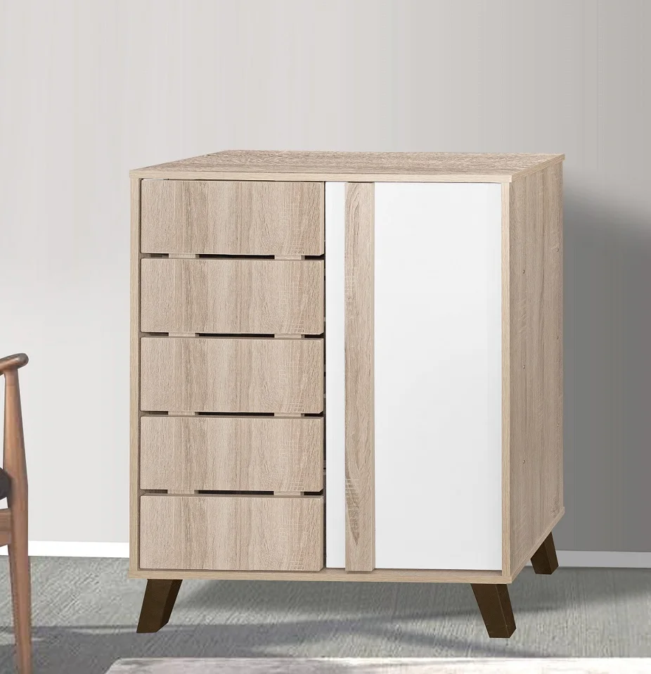 Modern Shoe Rack With 2 Doors Design Salim Shoe Made In