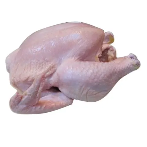 4.jpeg
