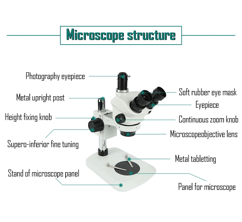 Dragon Rl-m3t 7x-50x Simul Focal Trinocular Zoom Stereo Microscope For ...