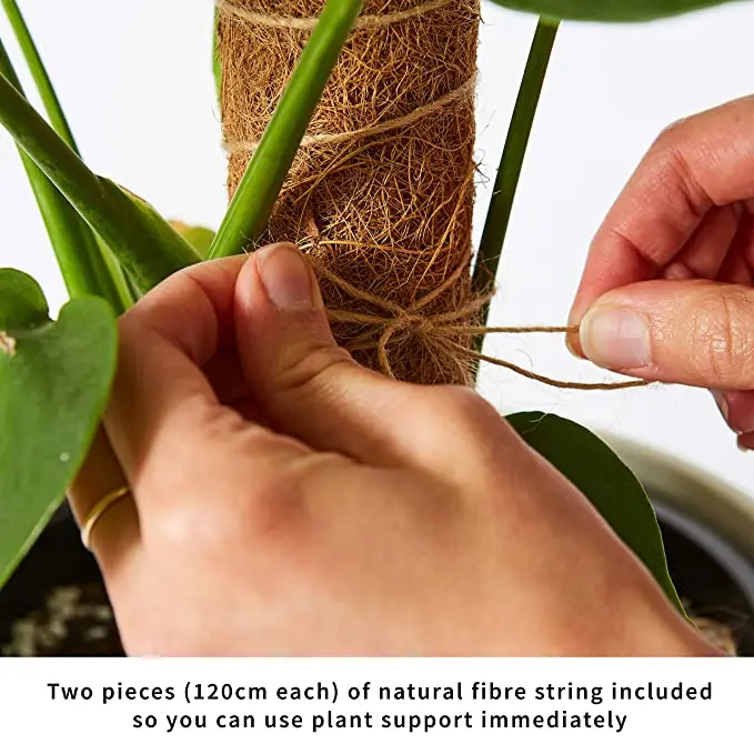 Acheter 4 pièces 450mm coco Totem pôle mousse bâton fibre plante