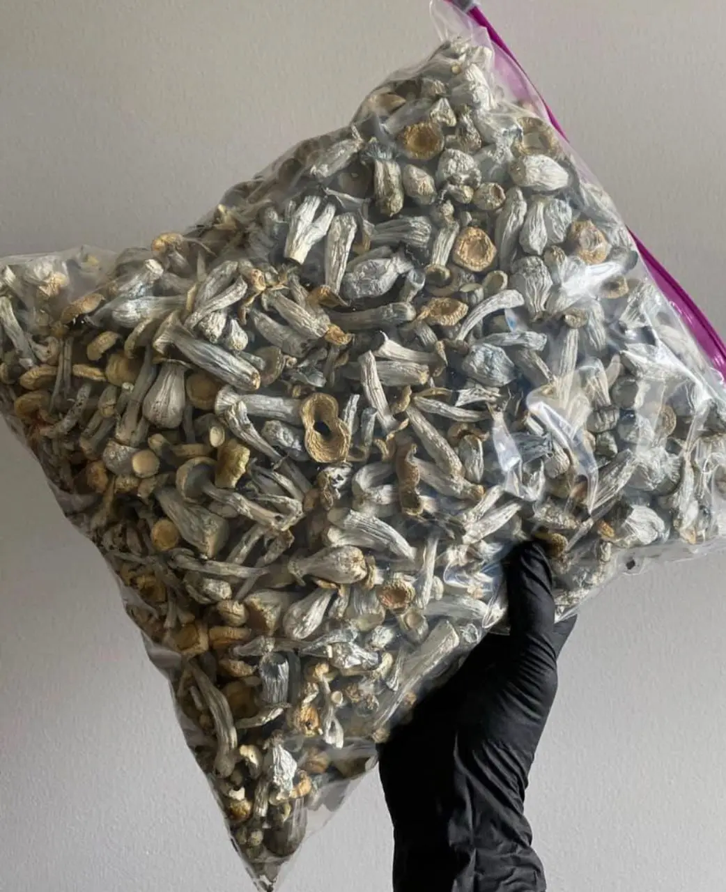 Лидер продаж натуральный сухой волшебные грибы для продажи