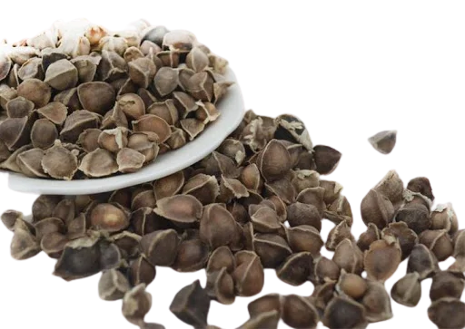 3 (1).png