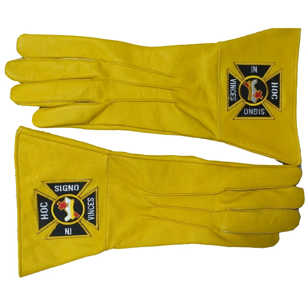 Leather Glove.jpg