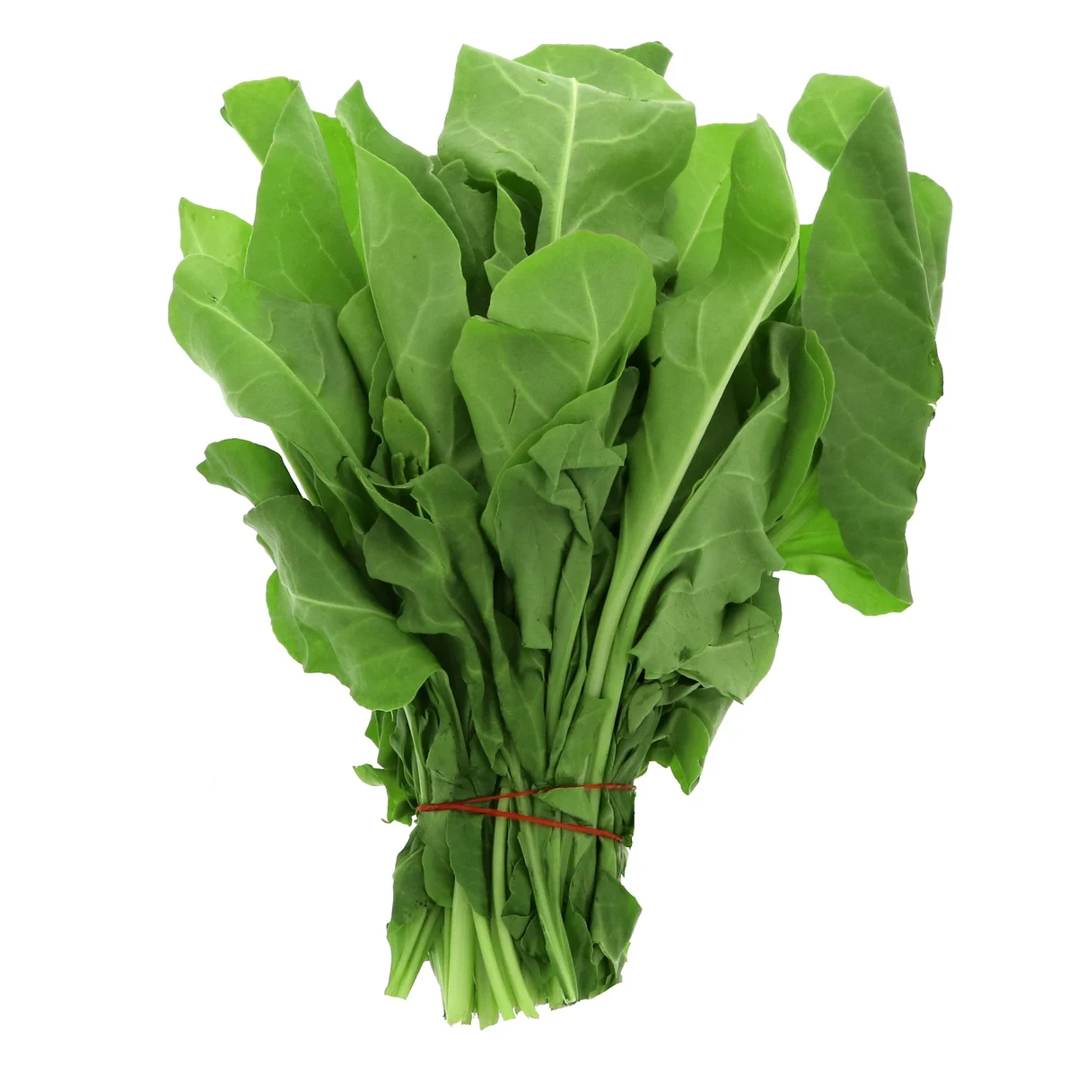 Export BQF Spinach Block Frozen Spinach