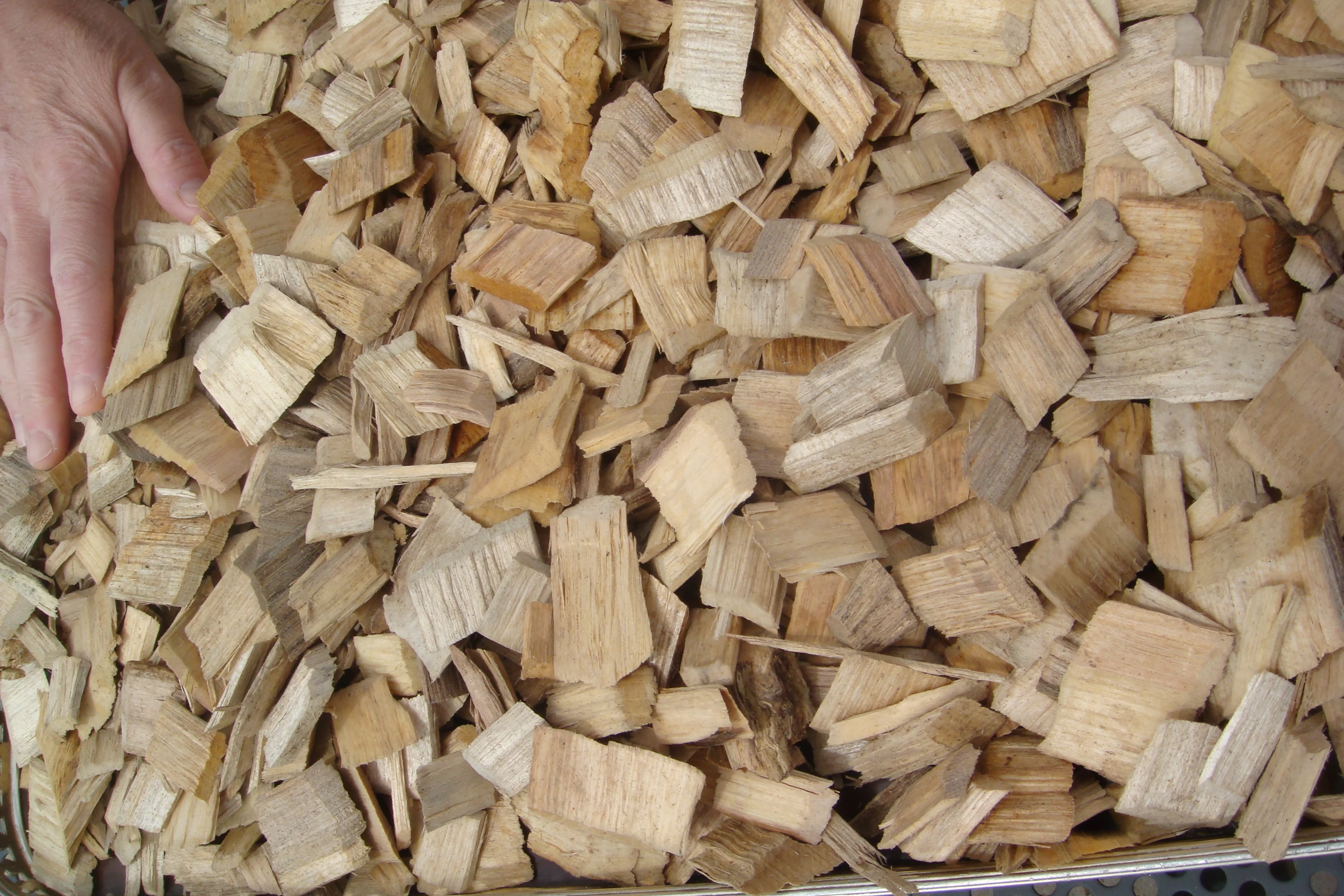 Source Primary Product Vietnam Direct Supplier Wood Chips Bulk For Paper  Pulp Industry on m.alibaba.com