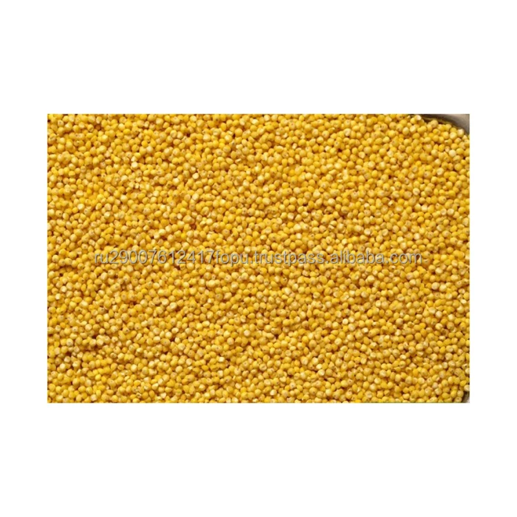 Дранец просо. Пшено продам. Пшено продам. Крупинка пшена. Пшено 2 сорт.