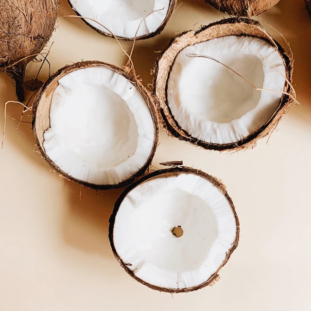 优质有机白色干椰干椰干批发