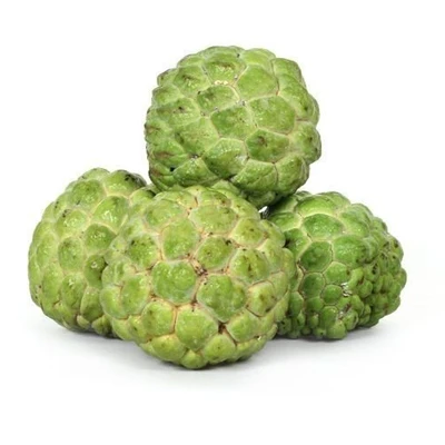 vietnam fresh custard apple for us,eu,asia market / 100% organic