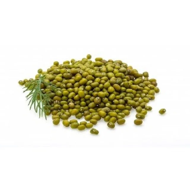 new crop green gram / mung bean for sprouting
