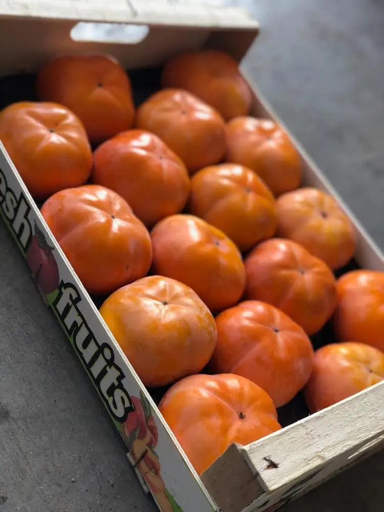competitive price new crop frozen greek persimmon iqf persimmons