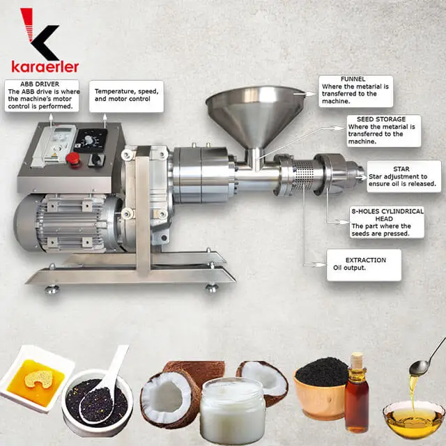 Small Scale Argan Moringa Peony Seed Oil Cold Press Making Machine Palm Oil Automatic Turkey Hot Product 2019 220-240 Volt