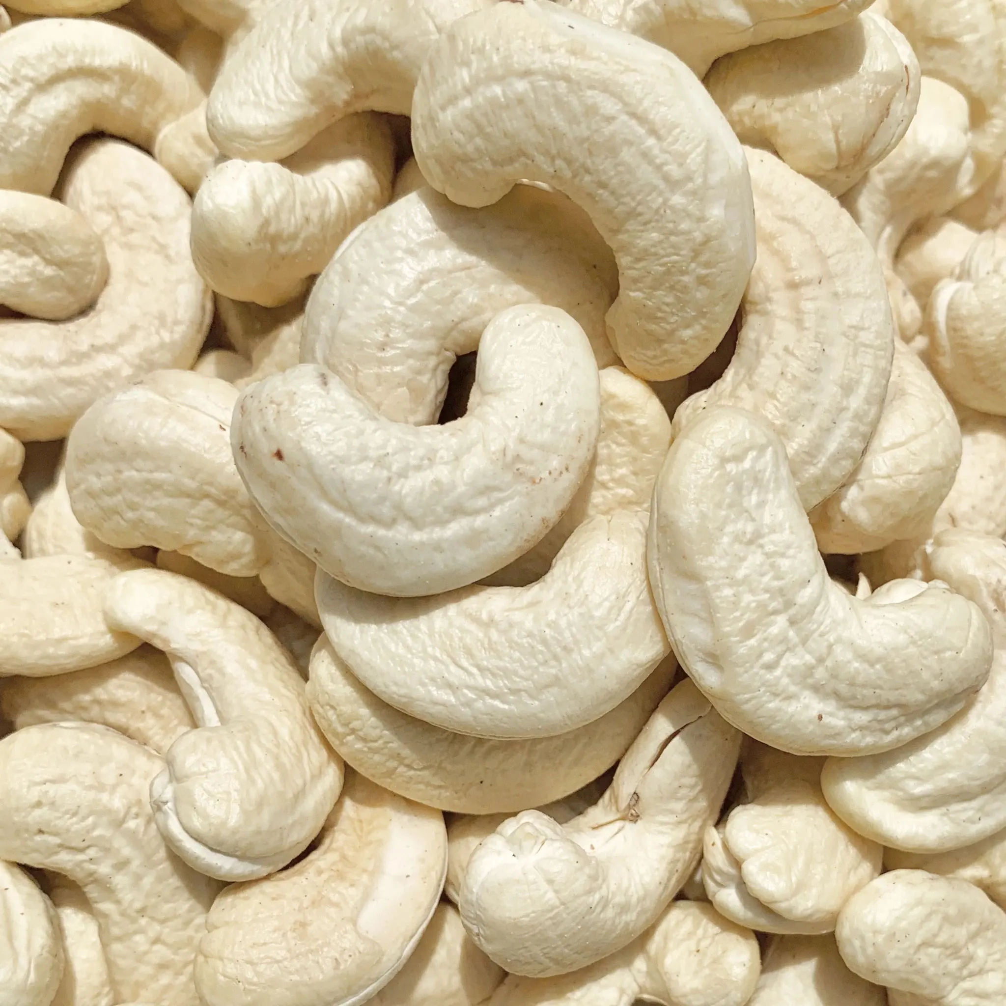 super bulk premium quality raw cashew nut ww320