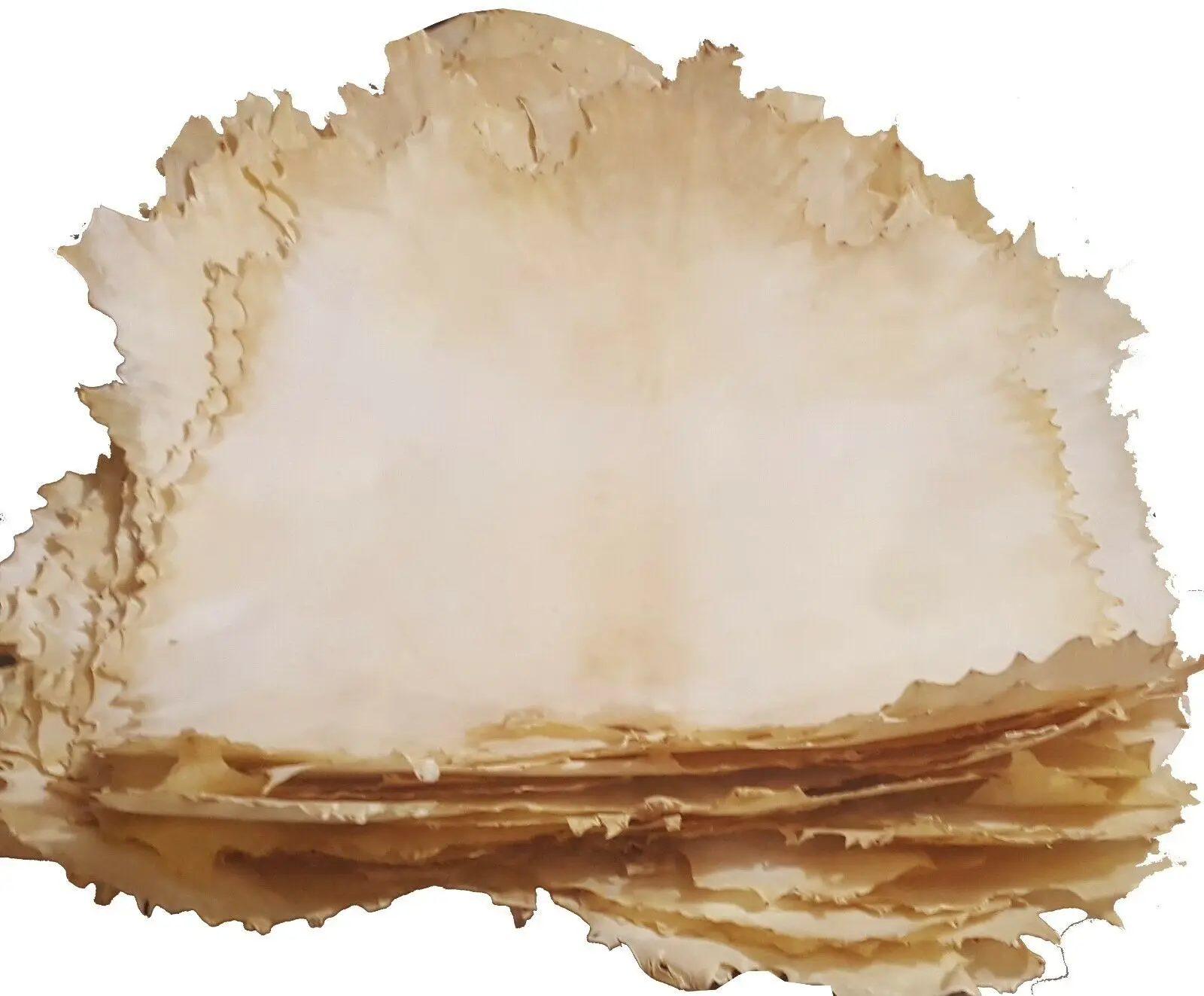 Vellum Parchment Furniture Bleached Buy Skin Vellum,Raw Hide Sheep