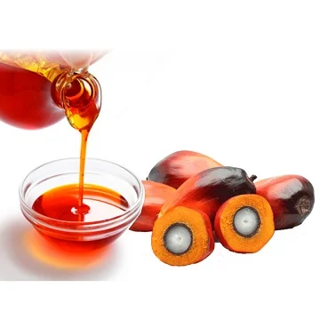 image (19).png