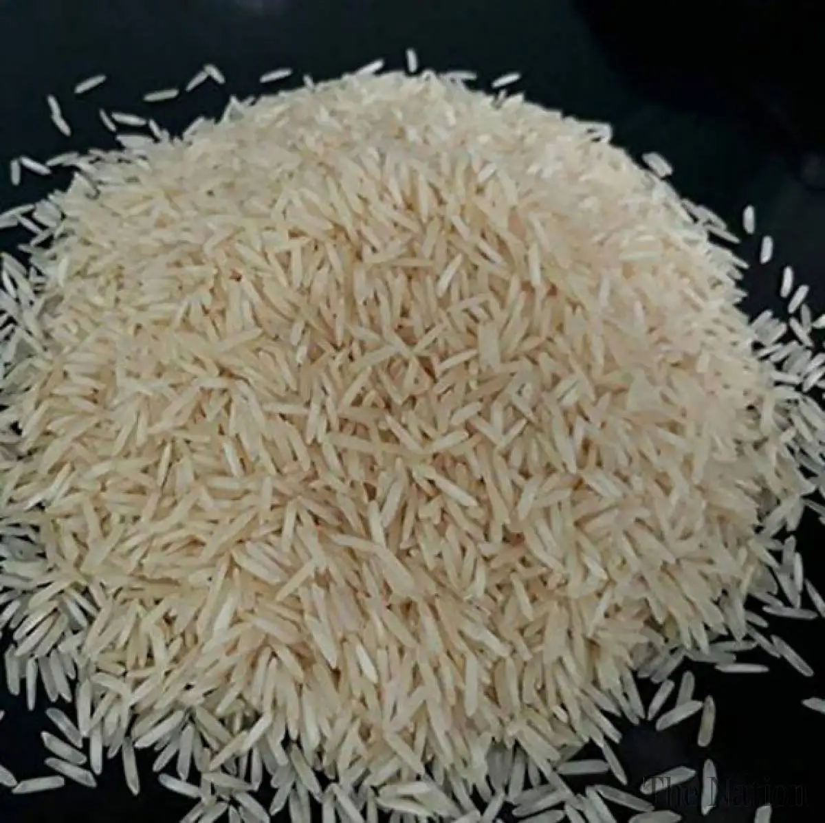 Hot Selling Price Of Basmati Rice in Bulk Quantity 