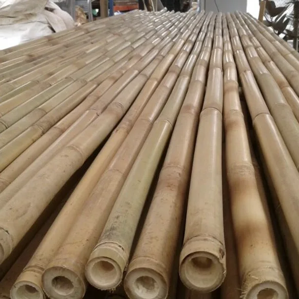 Bamboo Pole Guadua 5 7 X 500 Cm Buy Dia 100cm Length And Round Bamboo Sticks Raw Bamboo Pole Raw Bamboo Eco Friendly Product On Alibaba Com