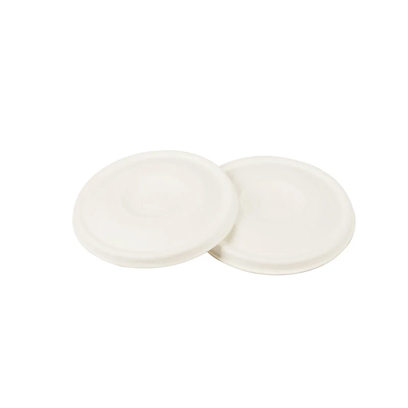 Cover For Double Wall Paper W Sugarcane 8oz 12oz Lids Biodegradable Pla Dome Lid Cup