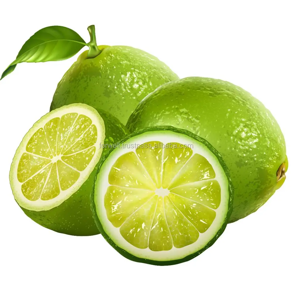 green lime and fresh lemon from egypt new season - buy fresh