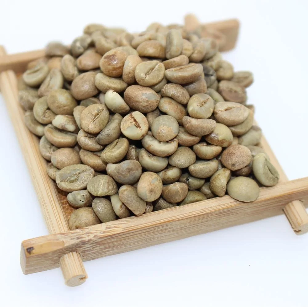 arabica-green-coffee-beans