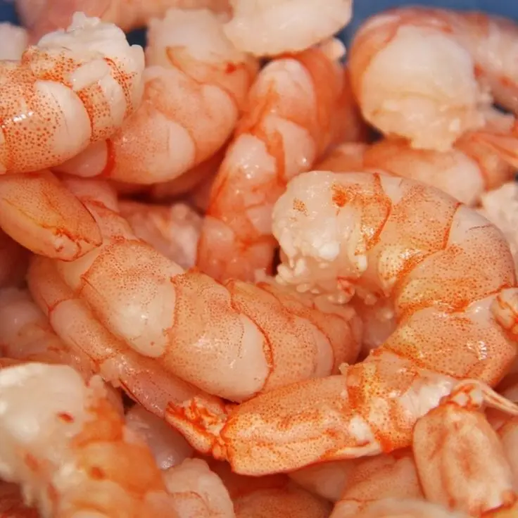 Argentine Hot Sales Frozen Shrimp Buy Shrimps U10 Organic Shrimp Frozen Small Shrimp Product On Alibaba Com